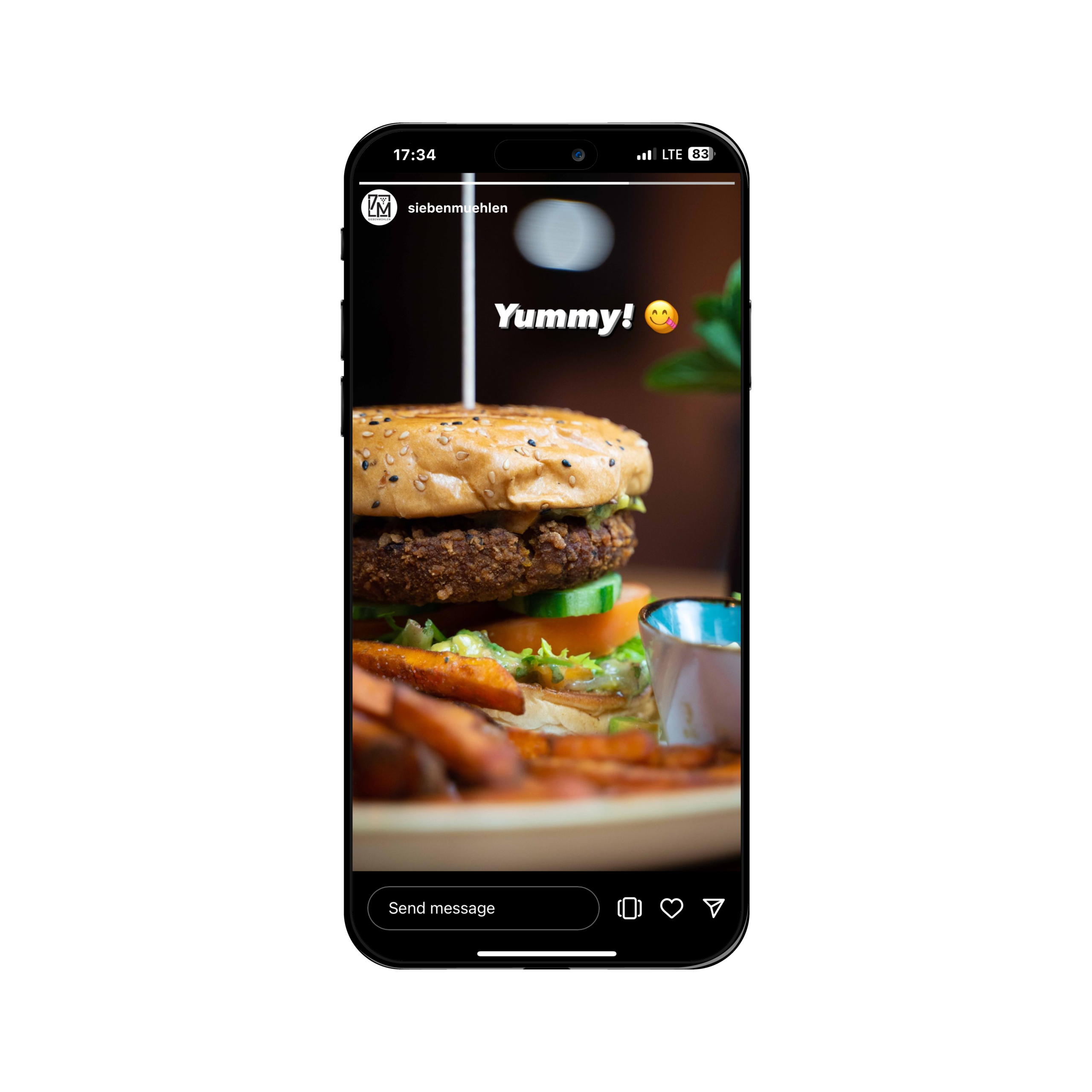 Iphone Siebenmühlen Instagram Story Mockup (5)